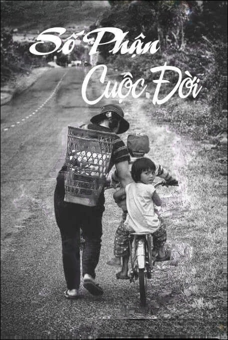 Số Phận Cuộc Đời