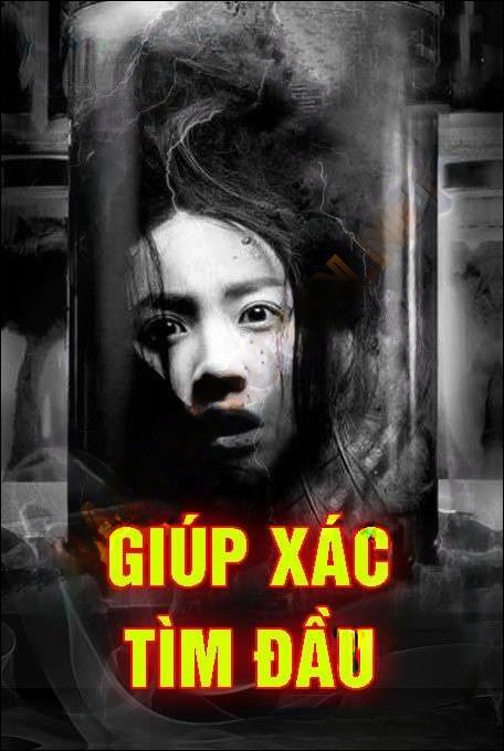 Giúp X.ác Tìm Đầu