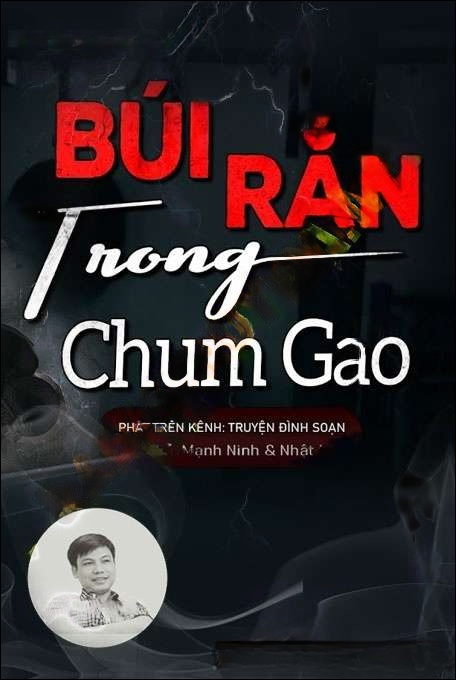 Búi Rắn Trong Chum Gạo