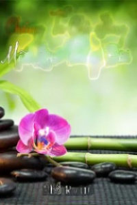 Chúng Ta Chỉ Sống Một Lần Trong Đời
