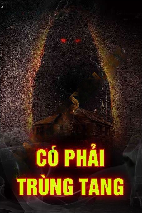 Có Phải Trùng Tang - Trần Thy