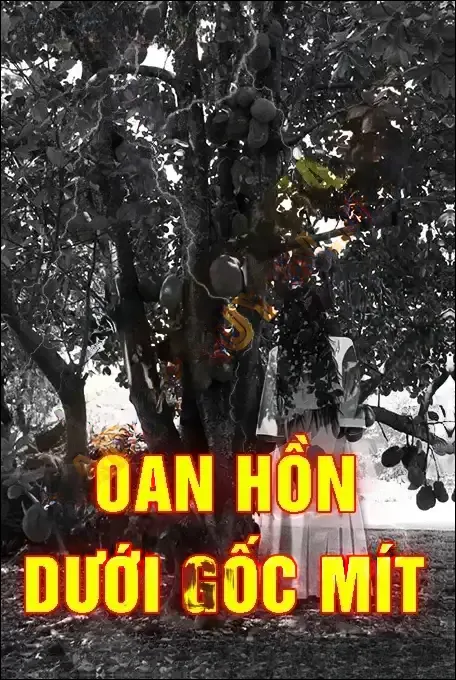 Oan Hồn Dưới Gốc Mít - Quàng A Tũn