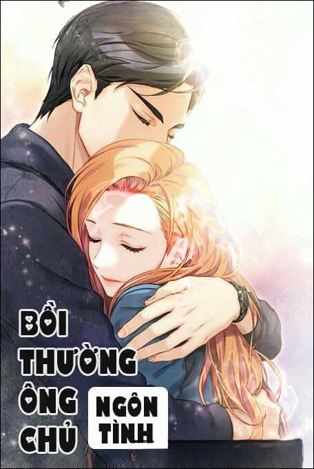 Bồi Thường Ông Chủ - Truyện Ngôn Tình
