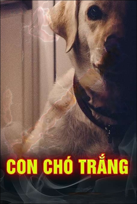 Con Chó Trắng