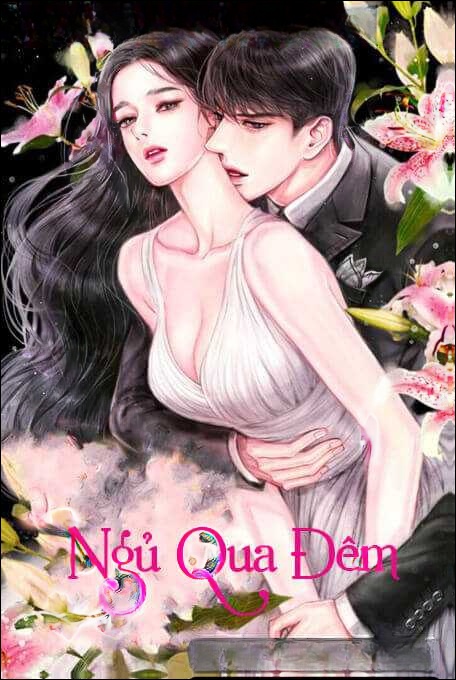 Ngủ Qua Đêm - Truyện Ngôn Tình