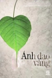 Ánh Đạo Vàng
