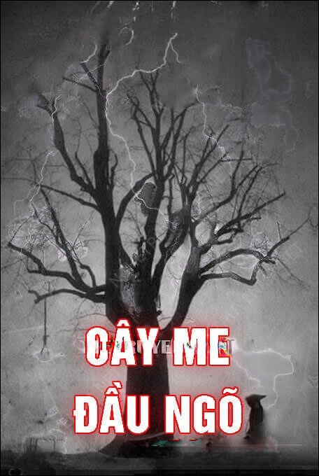 Cây Me Đầu Xóm