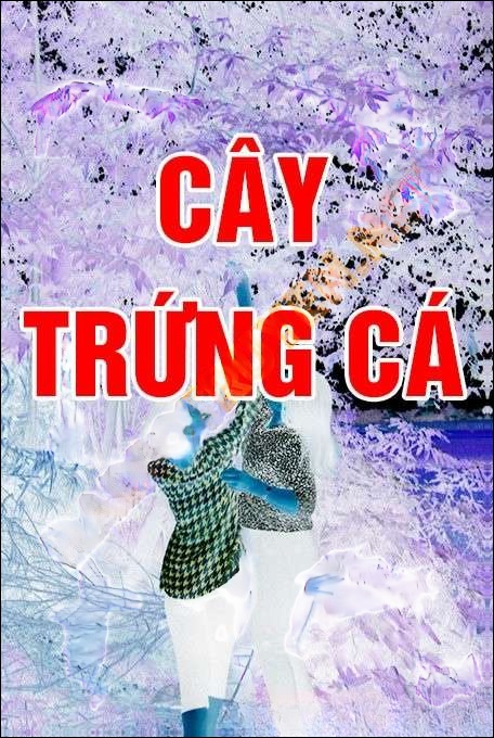 Cây trứng cá