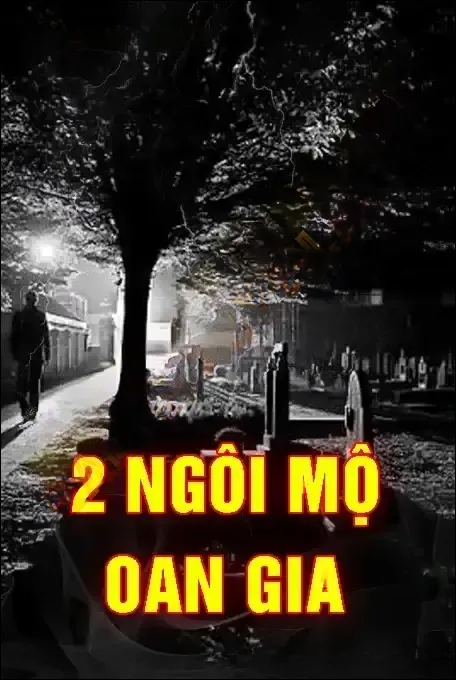 Hai Ngôi Mộ Oan Gia - Duy Thuận