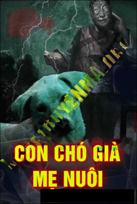 Con Chó Già Mẹ Nuôi