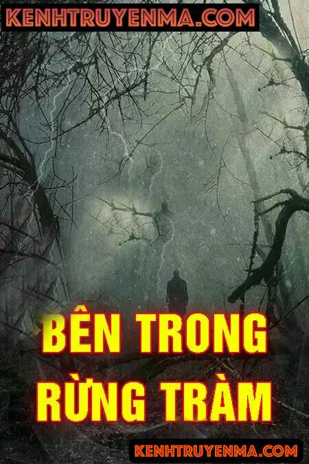 Bên Trong Rừng Tràm