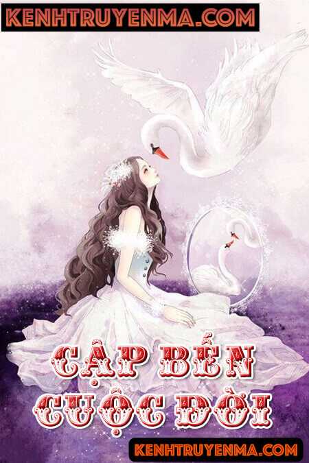 Cập Bến Cuộc Đời