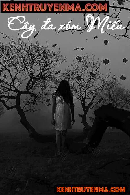 Cây Đa Xóm Miếu - Truyện Ma