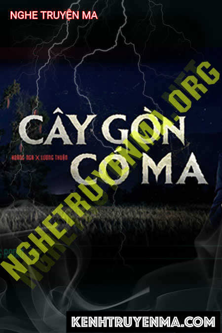 Cây Gòn Có Ma