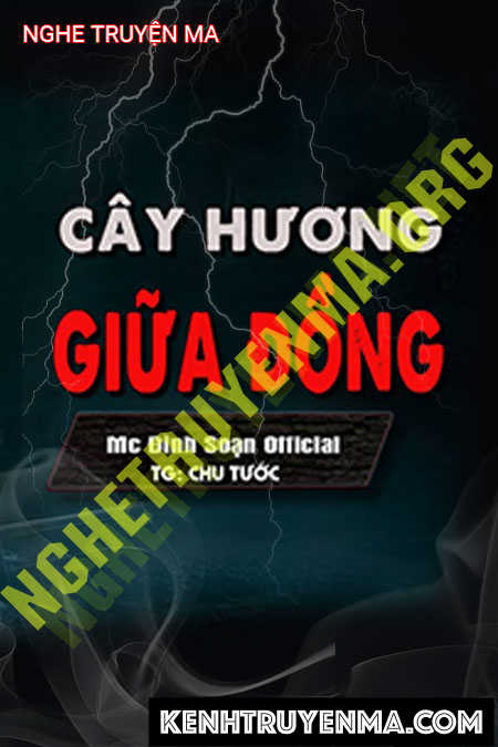 Cầy Hương Giữa Đồng