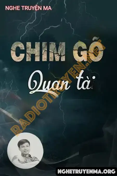 Chim Gõ Nắp Quan Tài - Đình Soạn