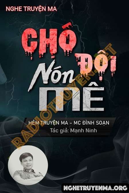 Chó Đội Nón Mê