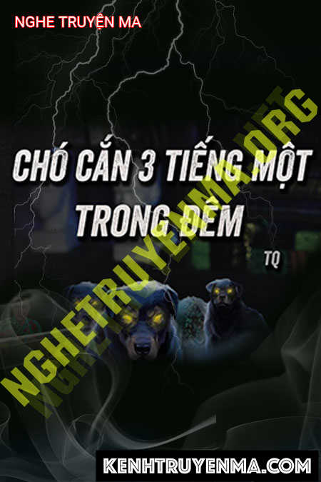 Chó Sủa 3 Tiếng 1 Lần
