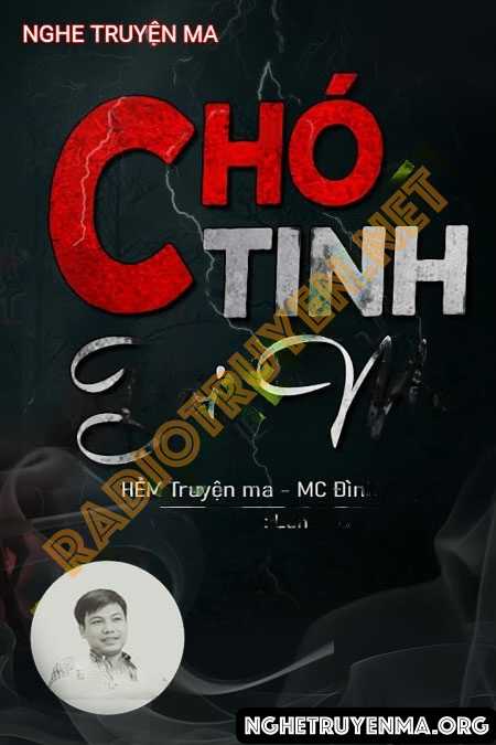 Chó Tinh Bới Mả