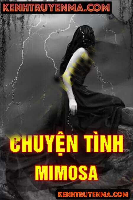 Chuyện Tình Mimosa