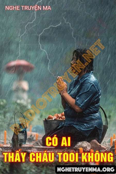 Có Ai Thấy Cháu Tôi Không