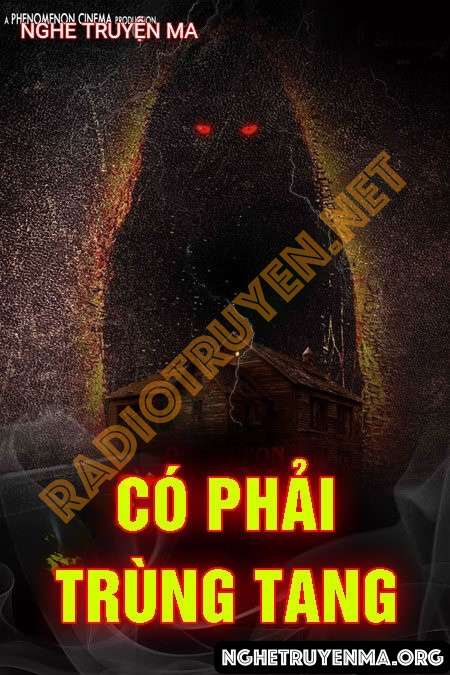 Có Phải Trùng Tang - Trần Thy