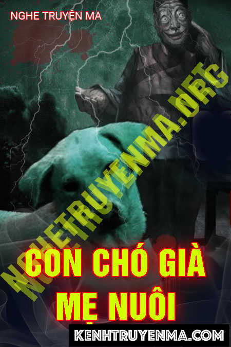 Con Chó Già Mẹ Nuôi