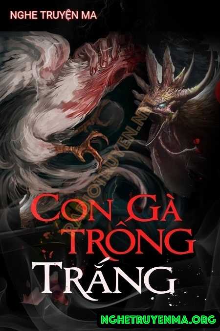 Con Gà Trống Trắng
