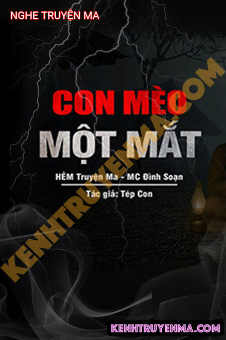 Con Mèo 1 Mắt