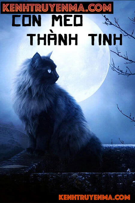 Con Mèo Thành Tinh - Truyện Ma