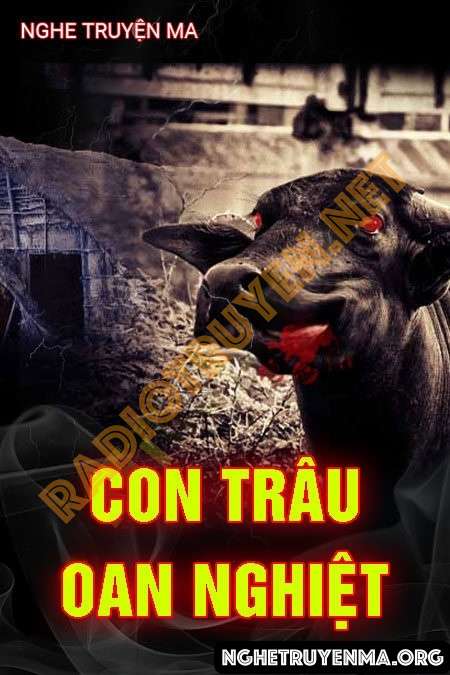 Con Trâu Oan Nghiệt