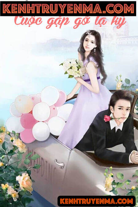 Cuộc Gặp Gỡ Lạ Kỳ - Truyện Ngôn Tình