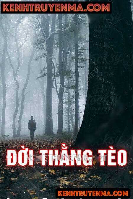 Đời Thằng Tèo