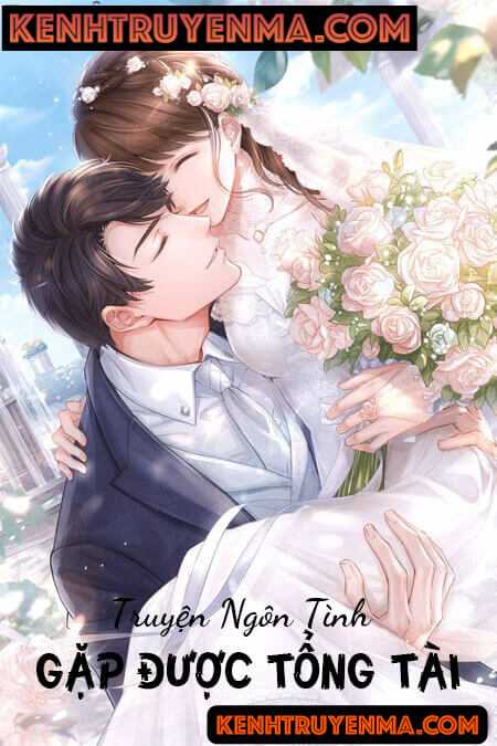 Gặp Được Tổng Tài - Truyện Ngôn Tình