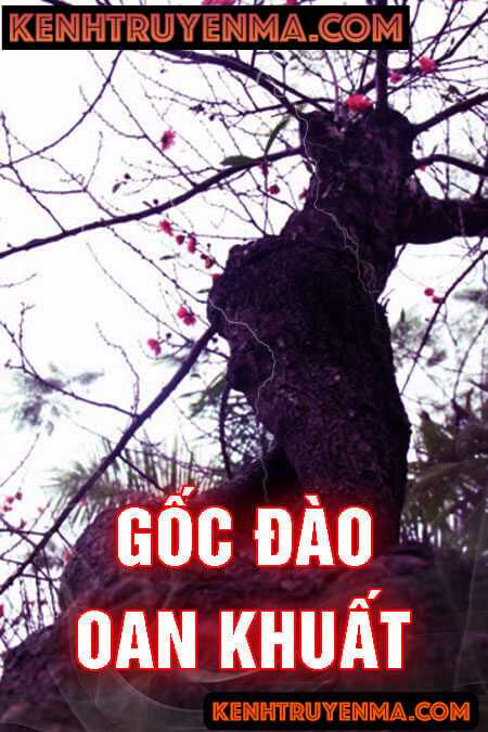 Gốc Đào Oan Khuất