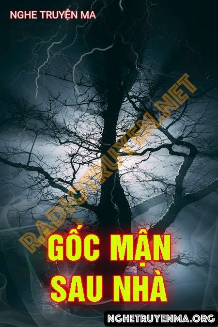 Góc Mận Sau Nhà - Trần Thy