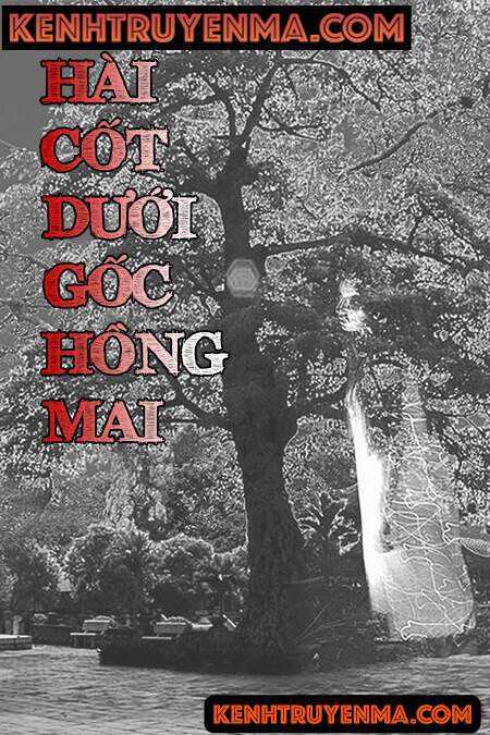 Hài Cốt Dưới Gốc Hồng Mai