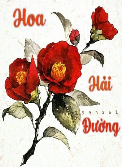 Hoa Hải Đường