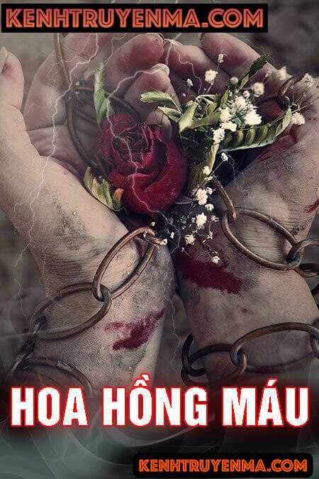 Hoa Hồng Máu