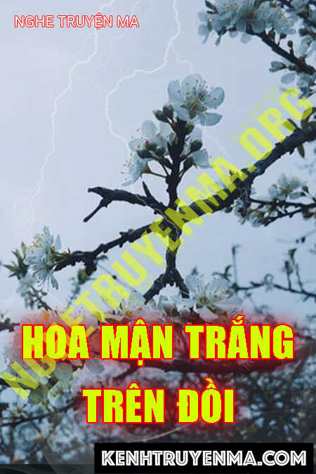 Hoa Mận Trắng Trên Đồi