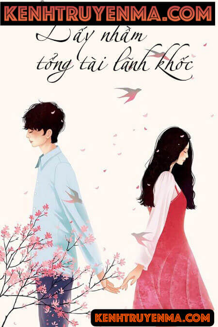 Lấy Nhầm Tổng Tài Lãnh Khốc - Truyện Ngôn Tình