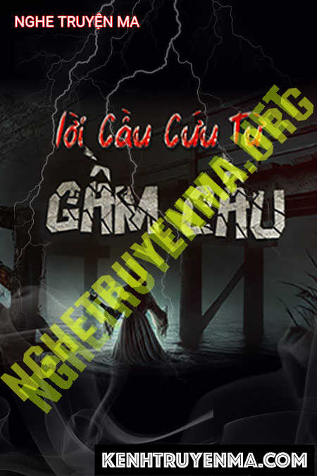 Lời Cầu Cứu Dưới Gầm Cầu
