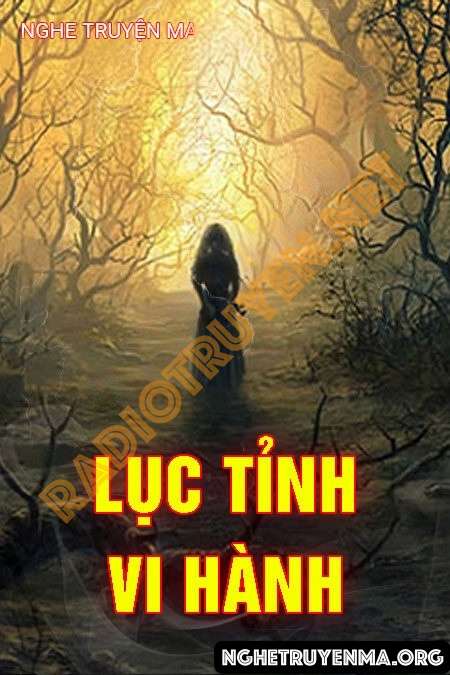 Lục Tỉnh Vi Hành