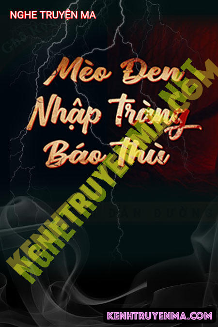 Mèo Đen Nhập Tràng Báo Thù