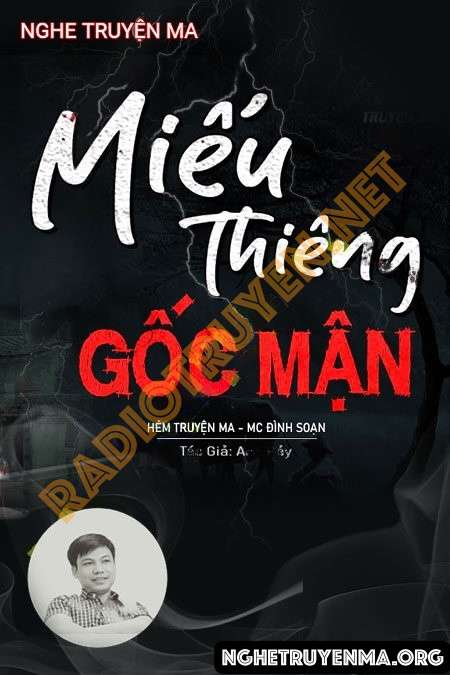 Miếu Thiêng Dưới Gốc Mận - Đình Soạn