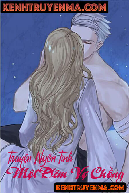 Một Đêm Vợ Chồng - Truyện Ngôn Tình