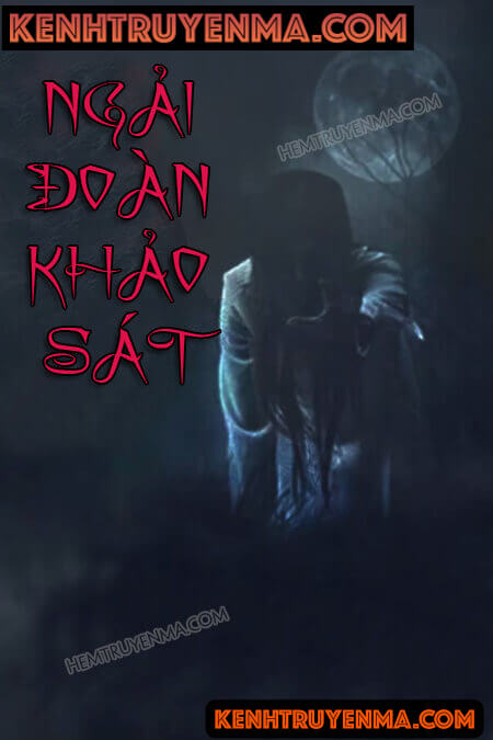 Ngải Đoàn Khảo Sát