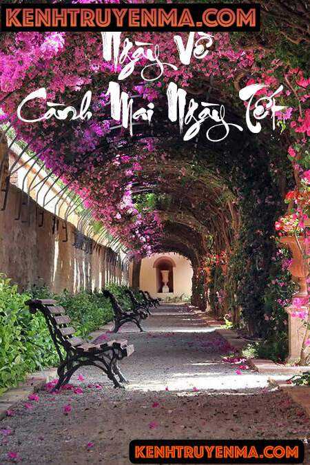 Ngày Về - Cành Mai Ngày Tết