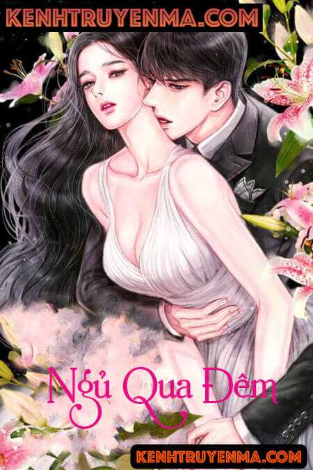 Ngủ Qua Đêm - Truyện Ngôn Tình