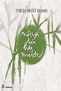 Nói Với Tuổi Hai Mươi - Thích Nhất Hạnh